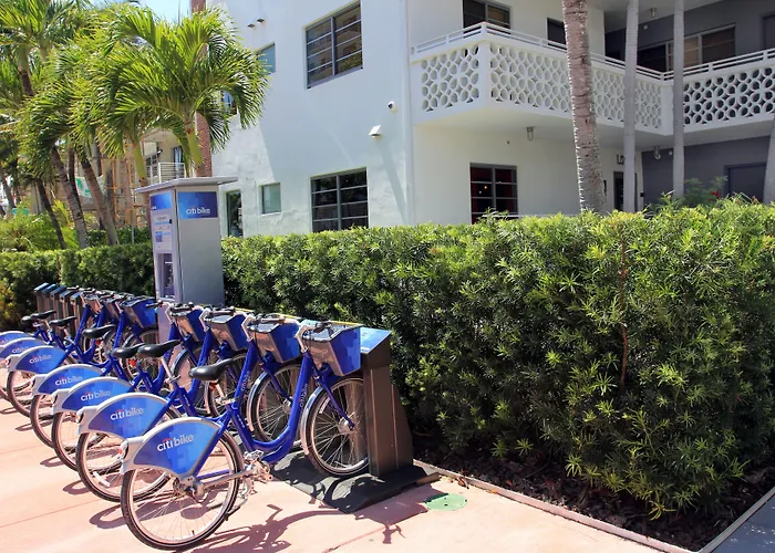 Hotel Gaythering - Gay Hotel - All Adults Welcome Miami Beach